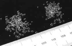 HC---2-Solids.jpg (52396 bytes)